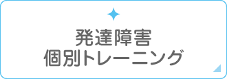 発達障害個別トレーニング